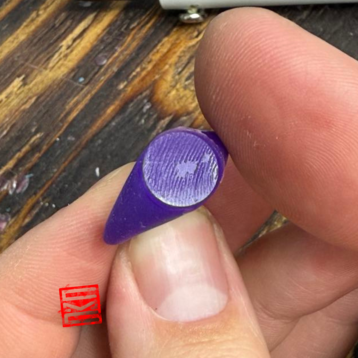 Finger Print Signet Ring - 2 Day