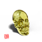 Anatomical Skull 14K Yellow Threadless
