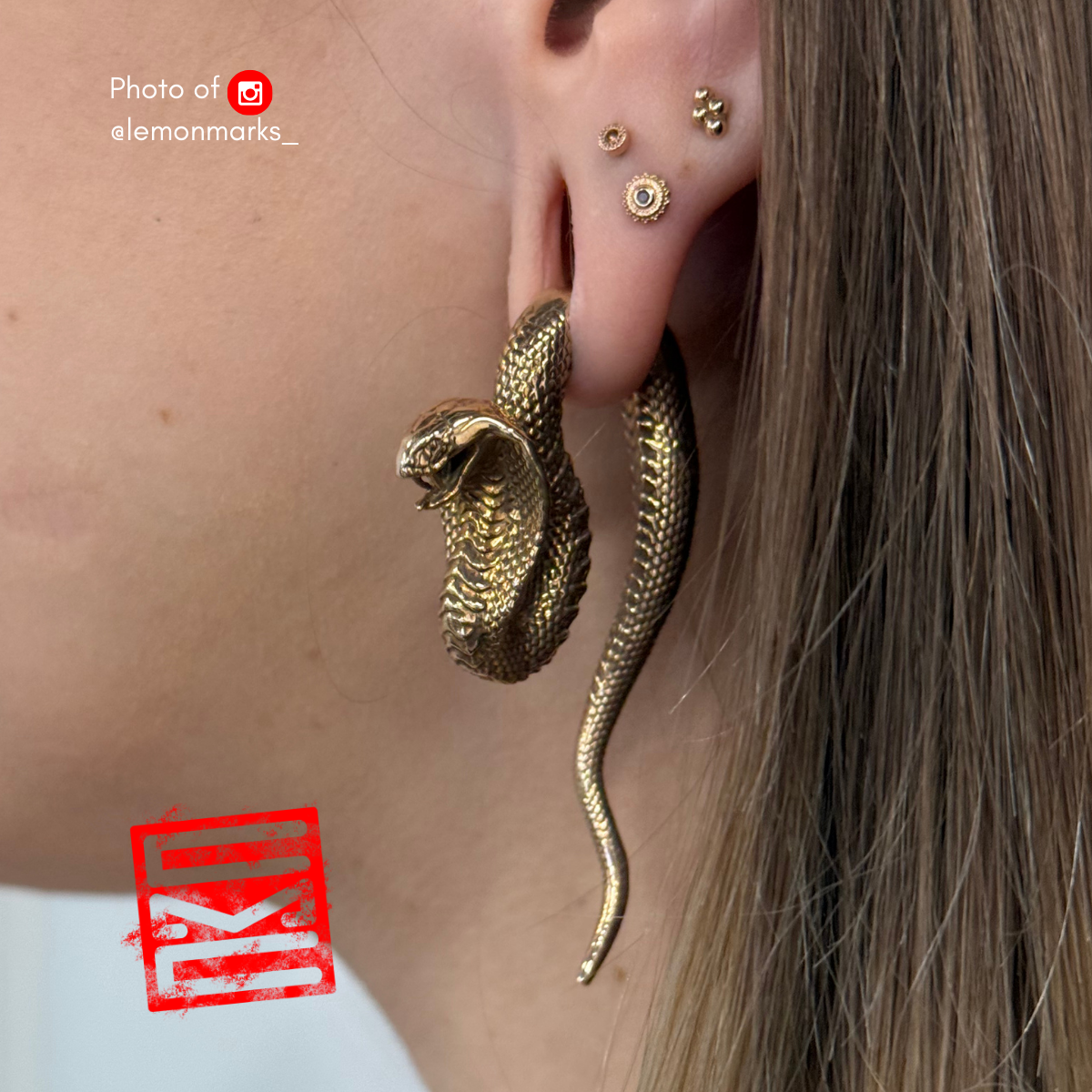 Cobra Ear Hangers Pair