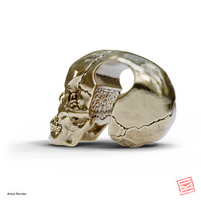 Skull Keyhole Weights