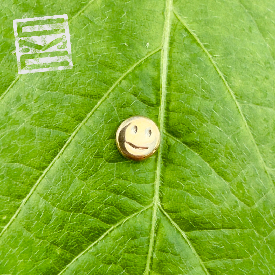 Smile Face Threadless End